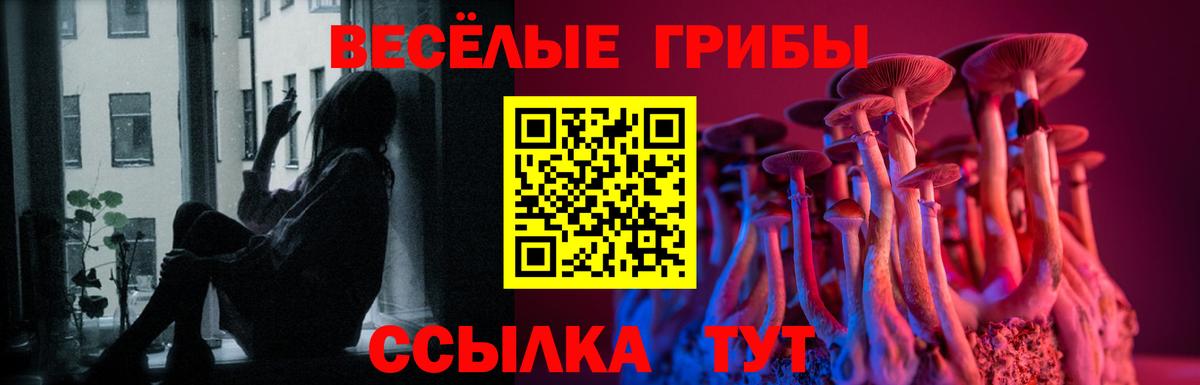 как найти закладки  Галлюциногенные грибы Psilocybe  Рубцовск  Вход с VPN  Галлюциногенные грибы мицелий 